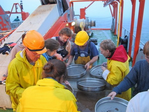 deepwater investigations