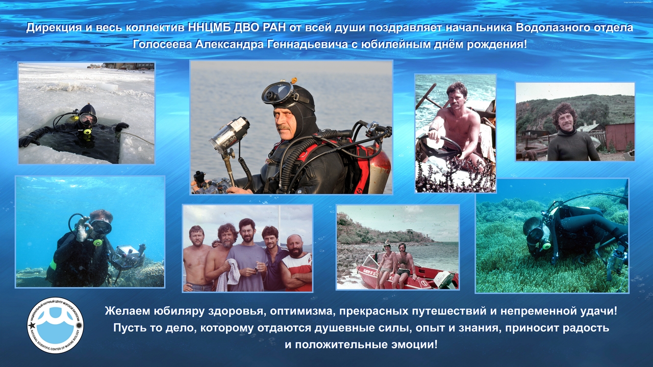 goloseev ag 70